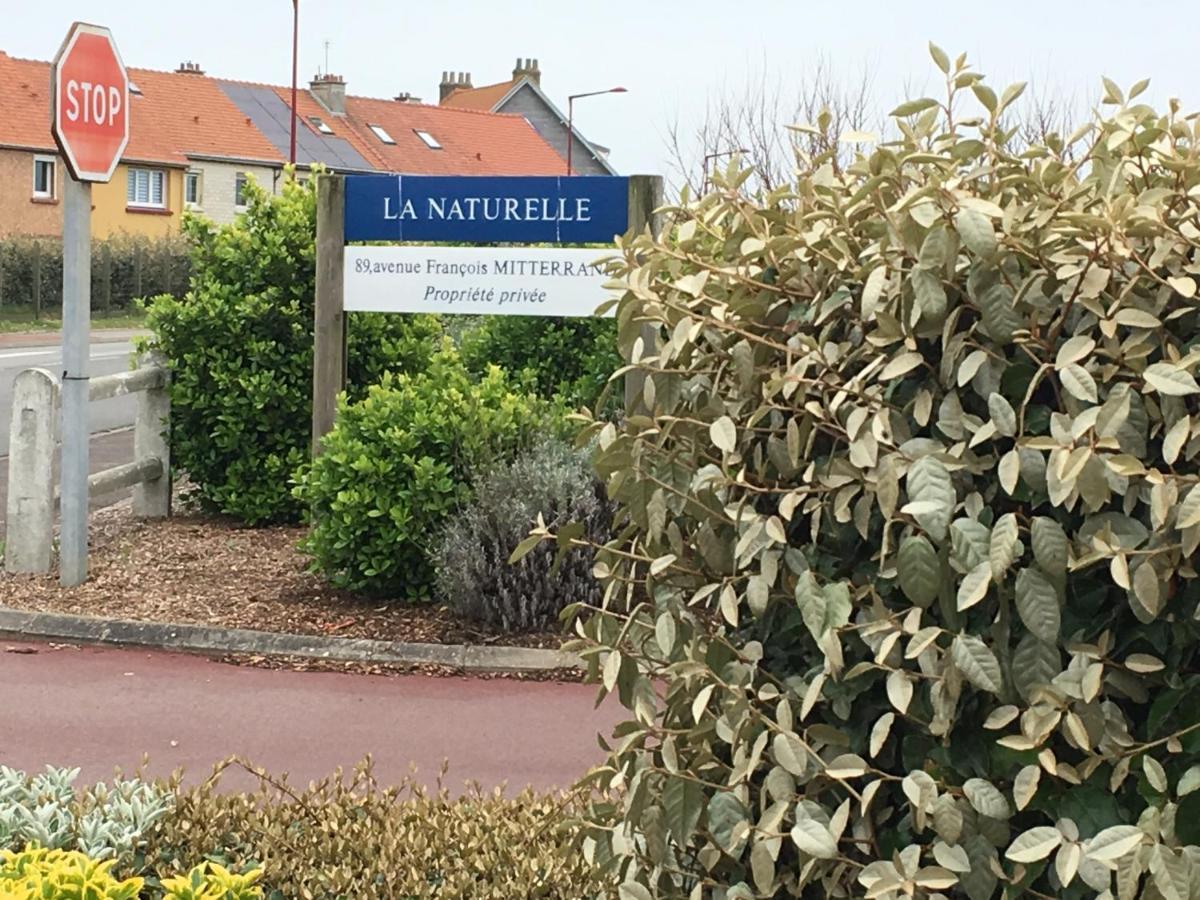 La Mer Vue D'En Haut , Duplex A La Naturelle Sur La Cote D'Opale Wimereux Exteriér fotografie